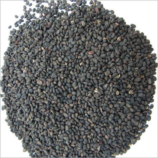 Bavachi Seeds - Bakuchi Seeds - Babchi Beej-बाबची बीज- Bavchi Beej - Psoralea Seeds Raw Herbs