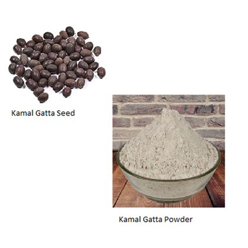 Kamal Seed Powder-Nelumbo nucifera Gaertn-कमल बीज पाउडर- Kamal Kakdi Powder-Kamal Gatta Powder Raw Herbs-Jadi Booti