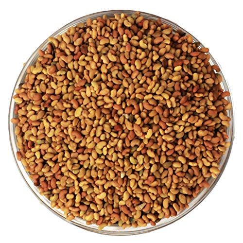 Alfalfa Seed - Hedge Lucerne Seeds-अल्फाल्फा बीज - Medicago sativa Raw Herbs-Jadi Booti