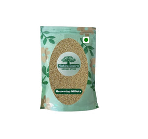 Browntop Millet-Unpolished Brown Top Millets-ब्राउनटॉप-Andu Korralu-Chhoti Kangani Millets
