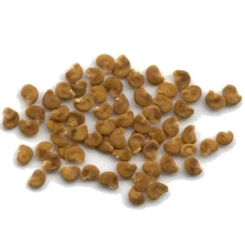 Datura Seeds Yellow-Thorn Apple-धतूरा के बीज पीले-Raw Herbs-Datura Stramonium-Dhatura Beej Pilla-Jadi Booti-Single Herbs