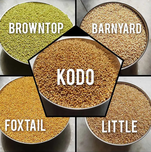 Millets Unpolished-Brown top-Kodo-Little-Barnyard-Foxtail Millets-Combo Pack