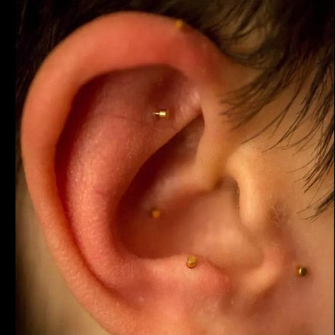 Acupuncture Ear Needle (100pc)-एक्यूपंक्चर कान की नीडल AP-1117