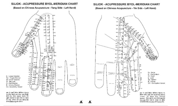 Sujok Acupressure Byol Meridian Chart B/W AC-1602