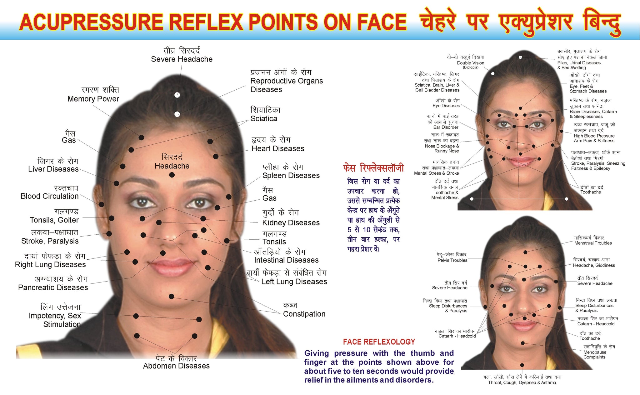 Acupressure Face Reflexology Chart - For Face Point AC-1603