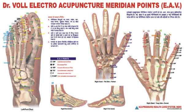 Electro Acupuncture chart Dr. Voll Electro Chart AC-1610