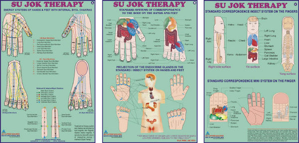 Acupressure Sujok Therapy Chart-Set of 3 20x30 AC-1612