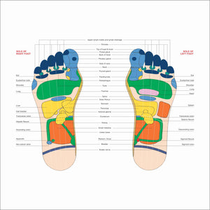 Acupressure Reflexology colour - V.Card - Foot 100pc पैर का रिफ्लेक्सोलॉजी चार्ट AC-1620