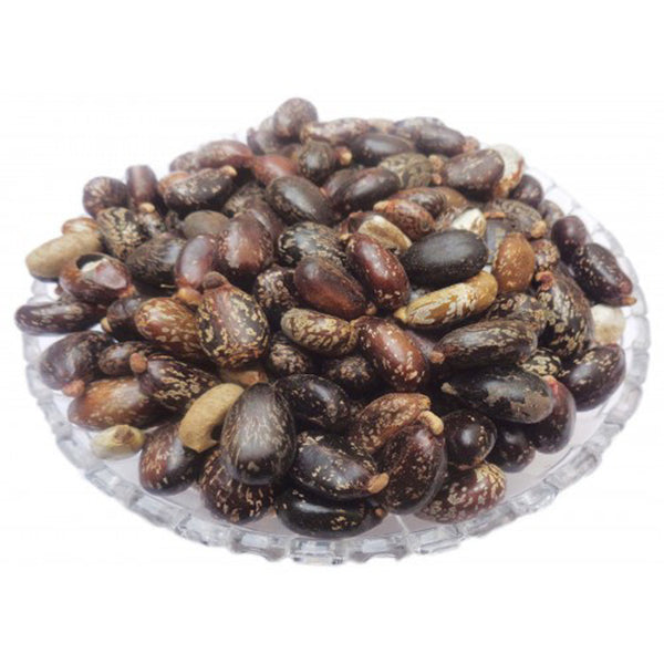 Arandi Beej - Castor Seeds - अरंडी बीज- Erand Seeds - Ricinus communis Raw Herbs-Jadi Booti