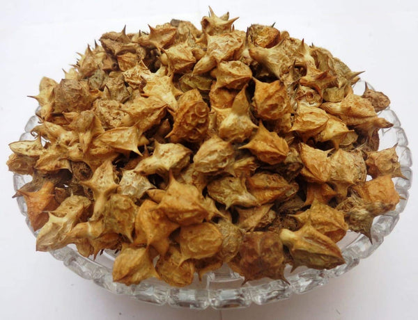 Gokhru Big- Gokharu Bada - Pedalium Murex – गोखरू बड़ा - Caltrops Raw Herbs-Jadi Booti