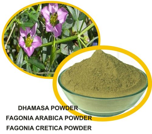 Dhamasa Powder-Fagonia -धमासा पाउडर-Arabica Powder Pure And Fresh Raw Herbs-Jadi Booti