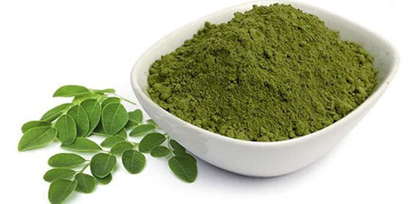 Indigo Leaf Powder- Neel Patti Powder -इंडिगो लीफ पाउडर- Nil Patta Powder dried- Indigo Leaves Powder - Indigofera Tinctoria Raw Herbs-Jadi Booti