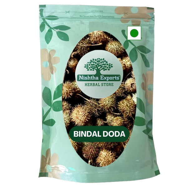 Bindaal Doda - Devdali - Luffa Echinata dried-बिंदाल डोडा-Raw Herbs-Jadi Booti