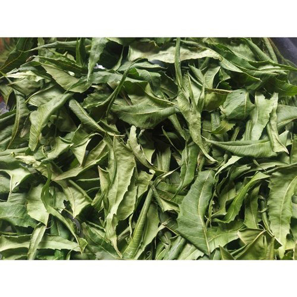 Neem Leaves - Neem Patta Dried -नीम के पत्ते- Azadirachta Indica Raw Herbs-Jadi Booti