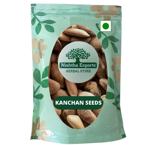 Kanchan Seeds - Beej Kanchan - Champak Seed - कंचन बीज-Michelia Champaca Raw Herbs-Jadi Booti