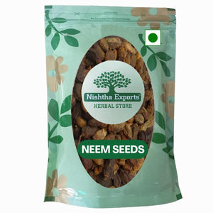 Neem Seed - Neem Beej - Neem Giri -नीम बीज- Niboli - Nimboli - Azadirachta indica Raw Herbs-Jadi Booti