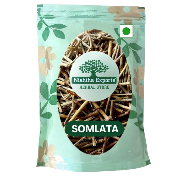 Somlata Panchang - Soma - Khanta -सोमलता पंचांग- Ephedra Gerardiana Raw Herbs-Jadi Booti