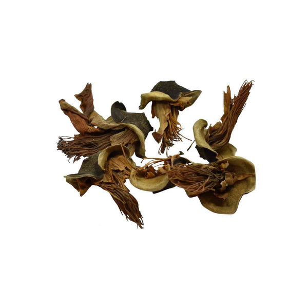 Semal Phool -सेमल फूल-Simbal Phool-Semel Phool Dried- Simbal Flower-Raw Herbs/Jadi Booti  Bombax Malabaricum
