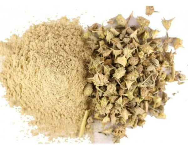 Gokhru Big Powder - Gokharu Bada Powder - गोखरू बड़ा पाउडर- Pedalium Murex – Caltrops Raw Herbs-Jadi Booti