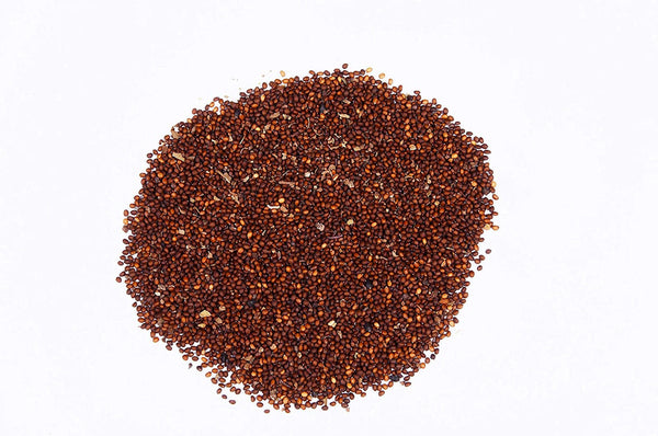 Tulsi Beej -Edible  Basil Seeds - Tulsi Seeds- तुलसी बीज - Tukhme Rehan - Ocimum Sanctum Raw Herbs-Jadi Booti