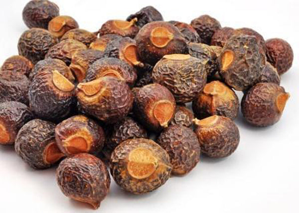 Reetha-Ritha-Soap Nut Dried-रीठा-Soapnut Raw Herbs-Acacia Concinna -Jadi Booti
