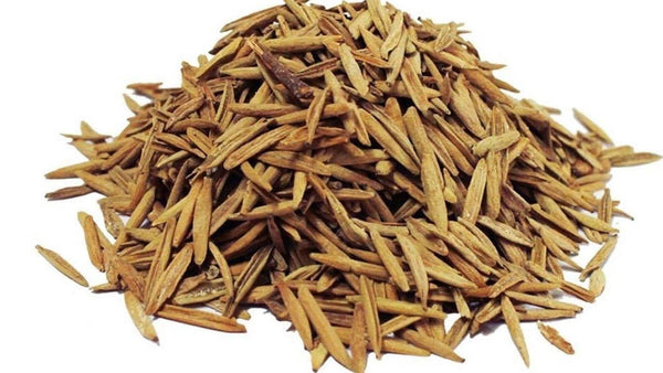 Indrajau Kadwa-Inderjo Karwa-इन्द्रजौ कड़वा-Inderjau Talkh Raw herbs-Holarrhena Pubescens Jadi Booti Dried