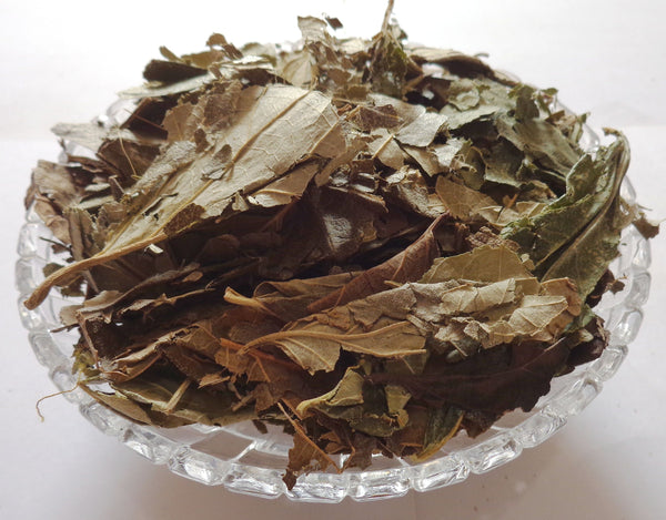 Harshringar Patta - Paarijaat Leaf - Parijat Leaves -हरशिंगर पत्ता-Harshingar Patta dried - Nyctanthes arbor-tristis Raw Herbs-Jadi Booti