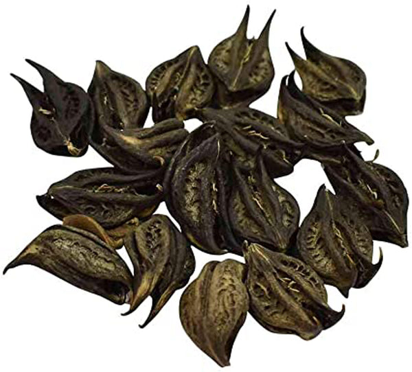 Bichhu Phal-Bicchu Fal Raw Herbs-बिच्छू फल-Biccho Phal-Kaknasa dried-Martynia Annua Jadi Booti