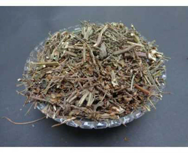Badranj Boya - Billilotan dried - Catnip -बदरंज बोया- Nepeta Hindostana Raw Herbs-Jadi booti