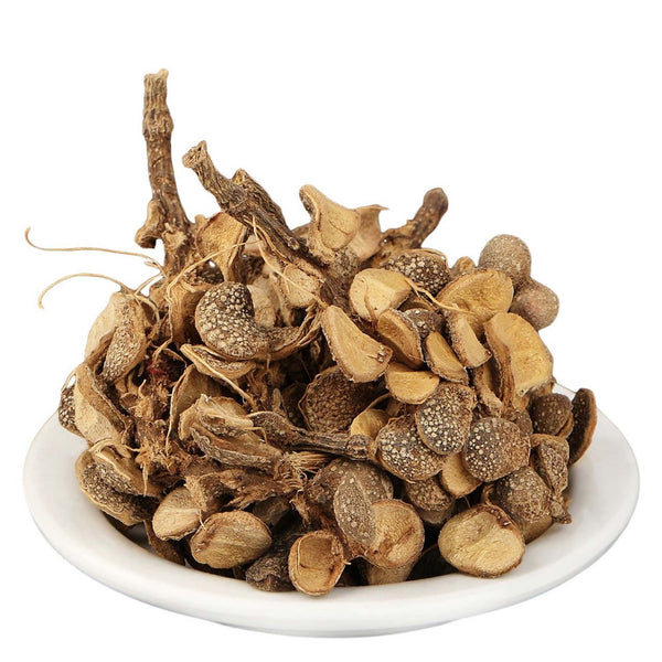 Champawati - Plumeria Obtusa dried-चंपावती-Raw Herbs-Jadi Booti