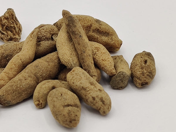Ridhi Vridhi Seeds Raw Herbs- रिद्धि वृद्धि के बीज-Habenaria Intermedia dried Jadi Booti