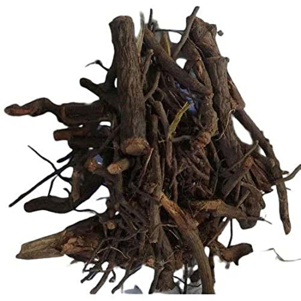 Chitrak Roots-Chita Mool-Chita Root-चित्रक मुळ-Chita Jadd-चित्रक जड़ों-Plumbago Indica Root Dried-Raw Herbs-Jadi Booti