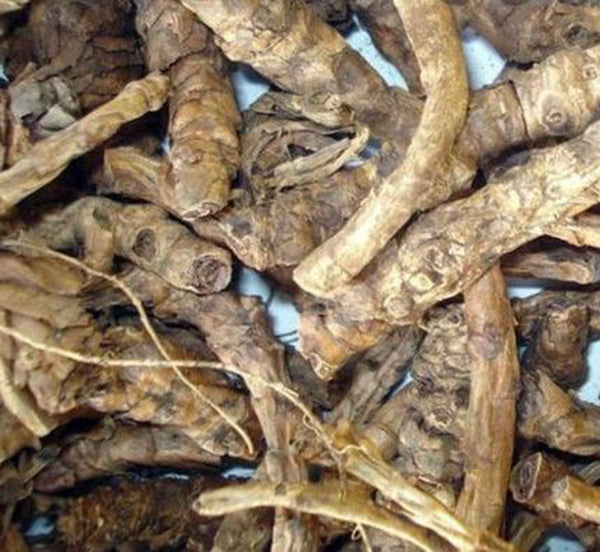Kutki Root-Katuki Jadd-Kutaki Roots-कुटकी की जड़ें-Picrorhiza Kurroa Dried-Raw Herbs/Jadi Booti