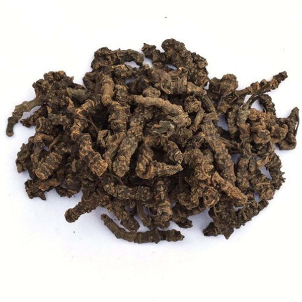 Sugandh bala -Raw Herbs Tagar -सुगंधबाला-Dried Mushk bala - Valerian Root - Valeriana wallichi Jadi Booti