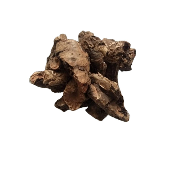 Pashan bhed Patharchatta Root-पशन भेड-पत्थरचट्टा जड़-Pakhanved Jadd-Raw Herbs/Jadi Booti Dried Aquatic Rotula-Bergenia ligulata