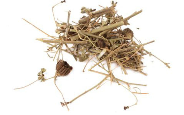 Kanghi-Atibala Panchang-Balbeej Dried-कंघी-अतिबाला पंचांग-Indian Mallow-Raw Herbs Abutilon Indicum Jadi Booti