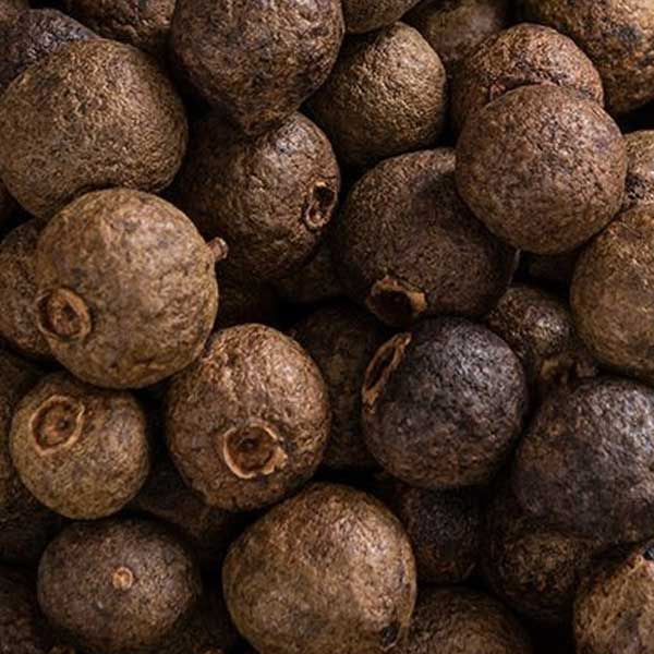 Sugandh Kokila-सुगंध कोकिला-Laurel Berry-Raw Herbs/Jadi Booti Dried Cinnamomum Cecidodaphne