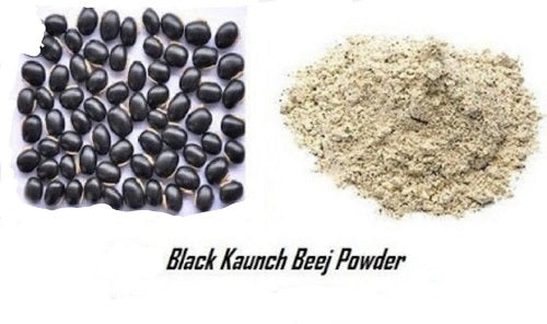 Kaunch Seeds Black Powder - Kauch Beej Kala - Konch -कौंच बीज काला पाउडर Mucuna Pruriens Black - Cowhage Raw Herbs-Jadi Booti