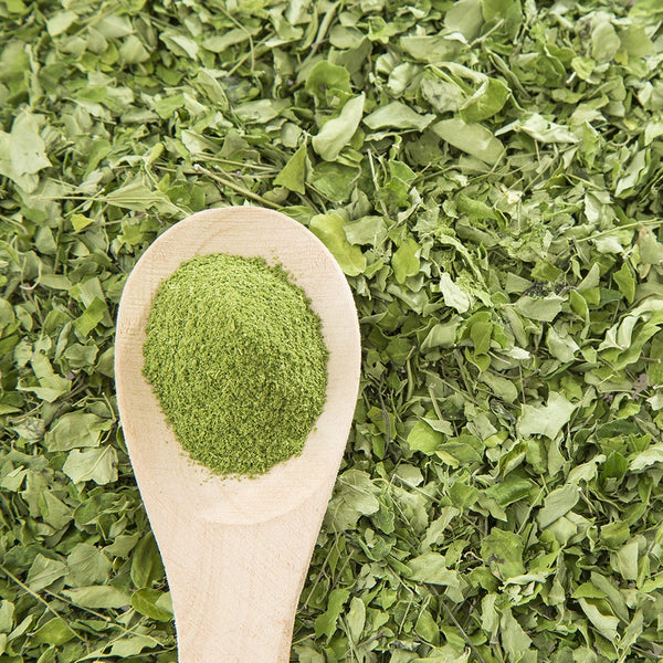 Moringa-Leaf Powder-Sehjan Patta-मोरिंगा के पत्तों का पाउडर - Powder Raw Herbs-Jadi Booti Dried  - Drumstick Leaves Powder