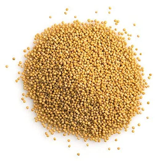Yellow Mustard Seed / पीली सरसों बीज / Brassica alba-Raw herbs-Jadi Booti