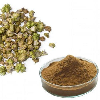 Gokhru Small Powder - Gokharu Chota Powder -गोखरू छोटा पाउडर- Pedalium Murex – Caltrops Raw Hebs-Jadi Booti
